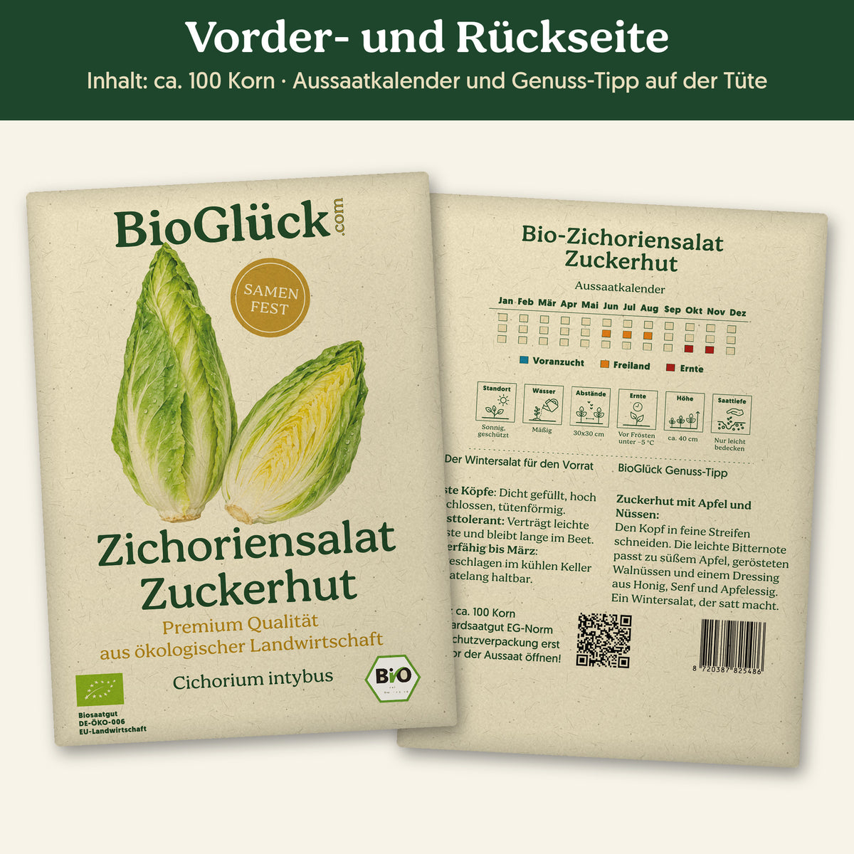 Vorder- und Rückseite der Samentüte Bio-Zichoriensalat 'Zuckerhut', ca. 100 Korn