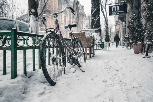 Biomüll im Winter: So verhindern Sie eingefrorene Mülltonnen - BioGlück.com