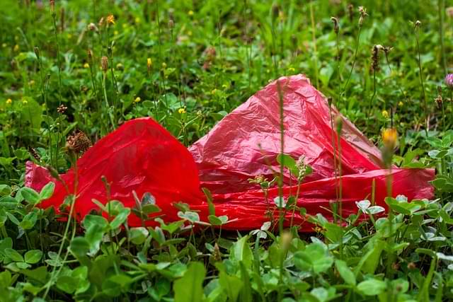 "Kompostierbare" Folien-Müllbeutel: Ein gut gemeintes Problem für die Biotonne