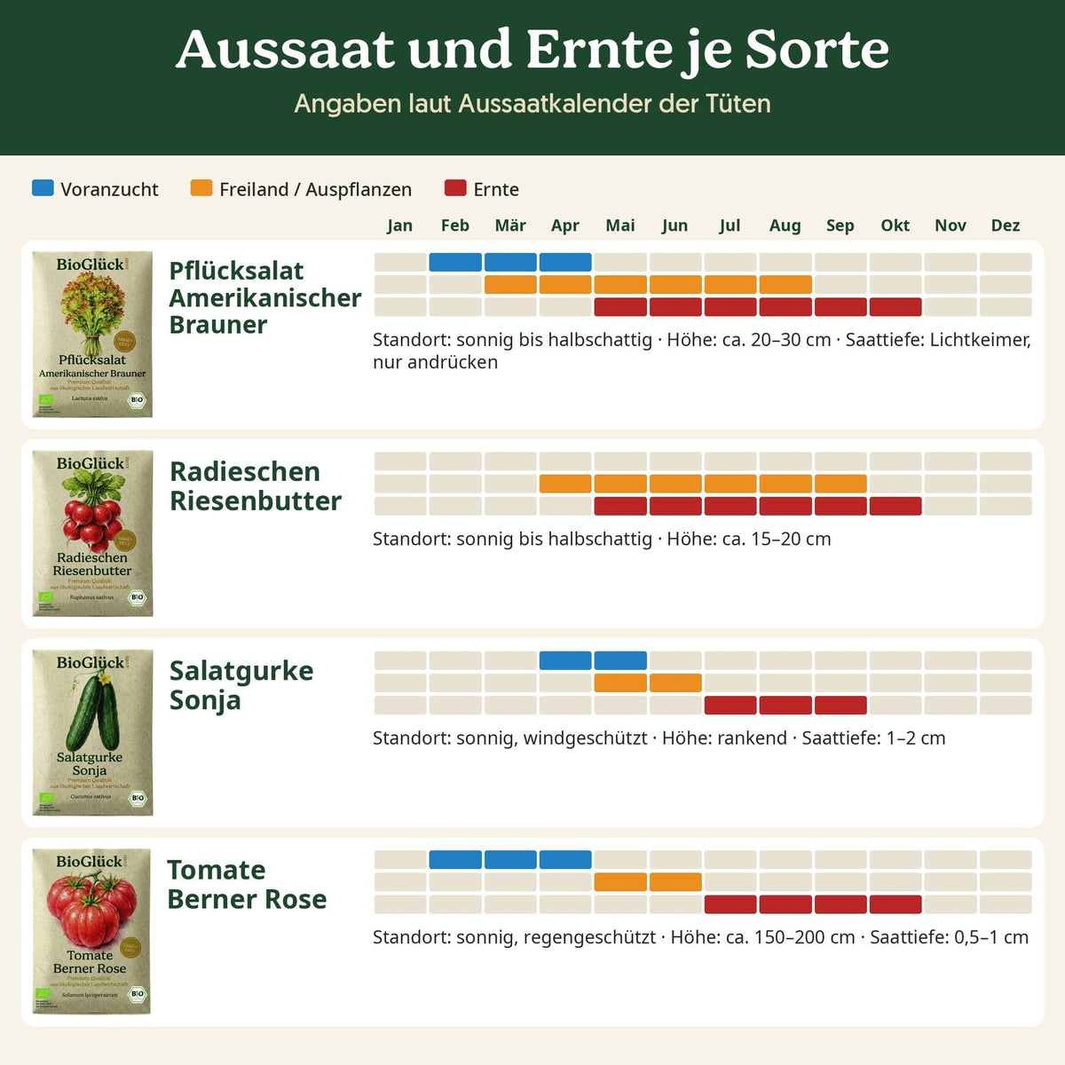 Salatgarten Set: Aussaat und Ernte je Sorte laut Aussaatkalender