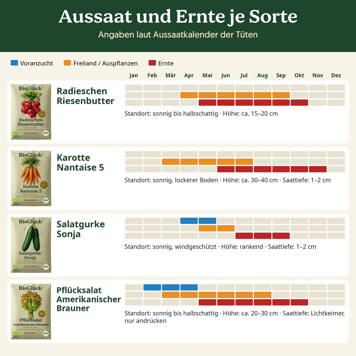 Küchengarten Set: Aussaat und Ernte je Sorte laut Aussaatkalender