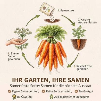 Ihr Garten, Ihre Samen: Kreislauf von der Aussaat bis zur Samenernte