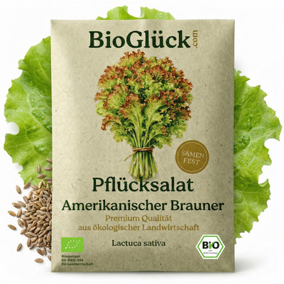 BioGlück Bio-Pflücksalat Amerikanischer Brauner: Samentüte aus Graspapier mit Salatkopf