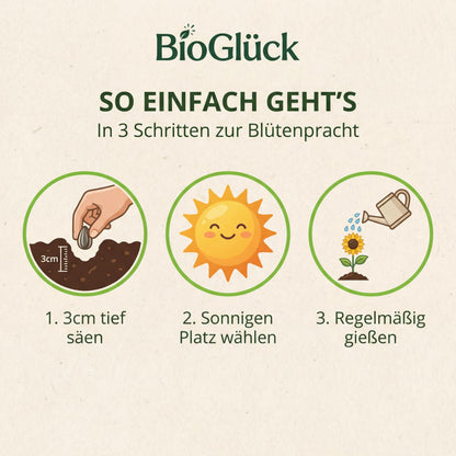 Aussaat in 3 Schritten: 3 cm tief säen, sonnigen Platz wählen, regelmäßig gießen