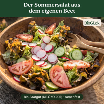BioGlück Salatgarten Set: Salatgemüse aus dem eigenen Anbau