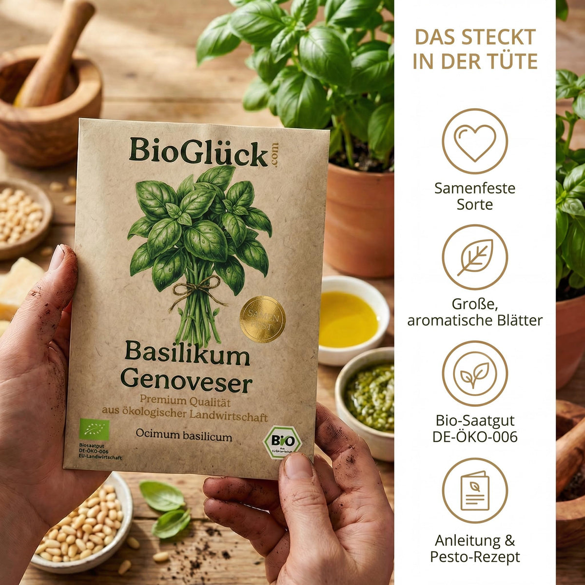 Samentüte in der Hand: samenfeste Sorte mit großen, aromatischen Blättern