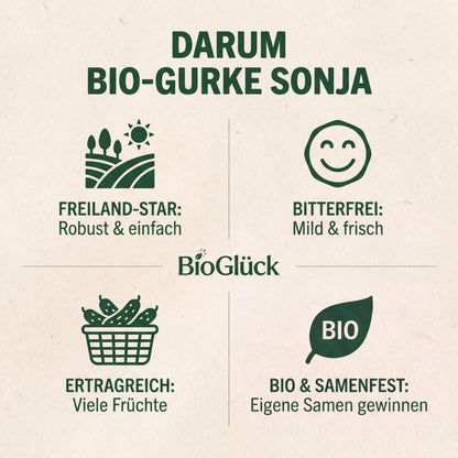 Darum Bio-Gurke Sonja: robust, bitterfrei, ertragreich, Bio und samenfest