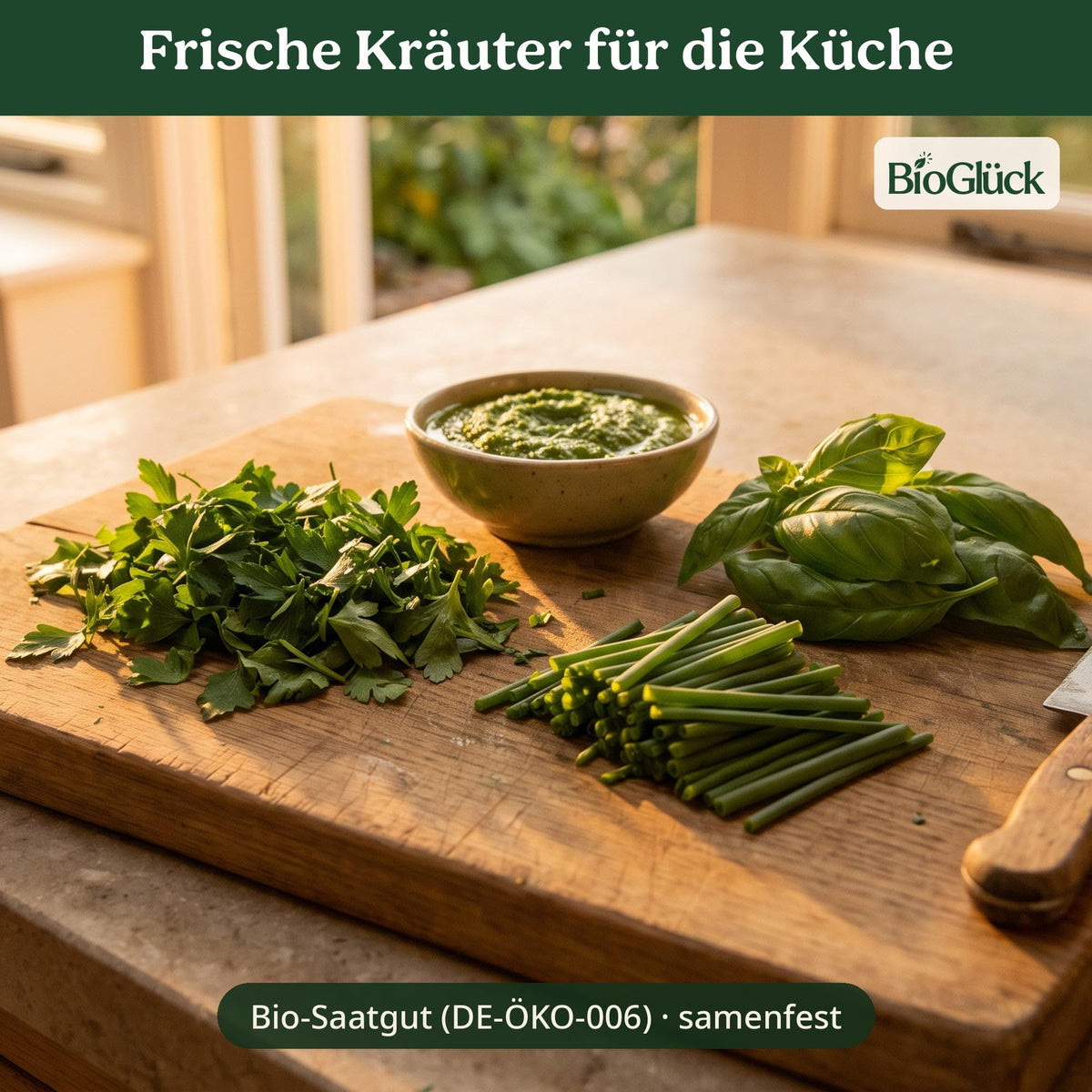 BioGlück Kräutergarten Set: frische Kräuter aus dem eigenen Anbau
