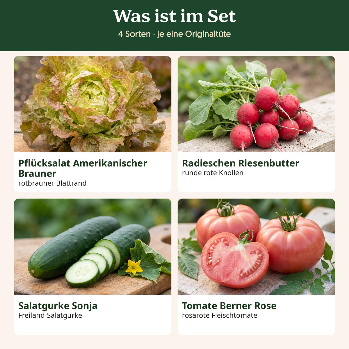 Was ist im Salatgarten Set: alle Sorten mit Kurzbeschreibung