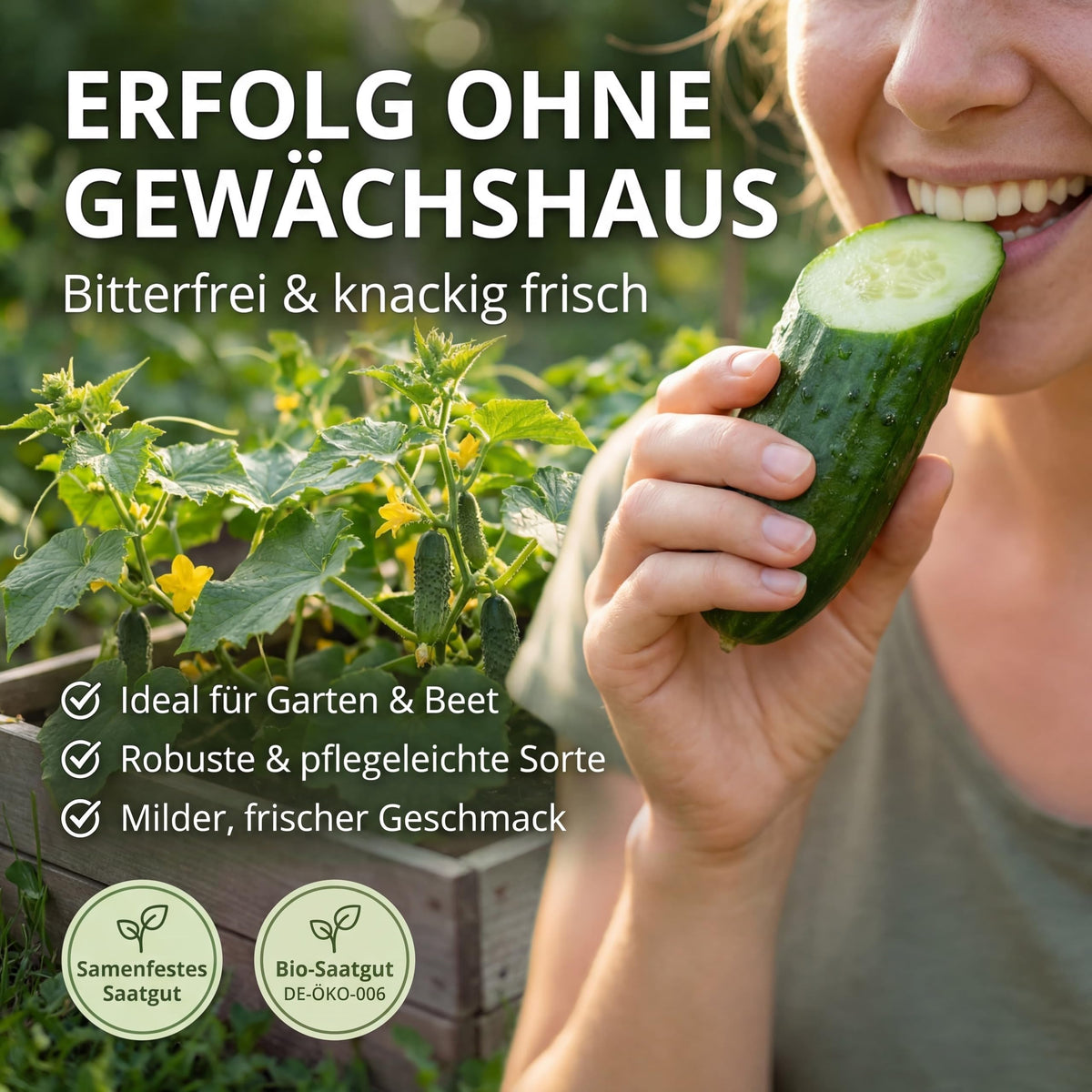 Erfolg ohne Gewächshaus: bitterfreie, knackige Freilandgurke