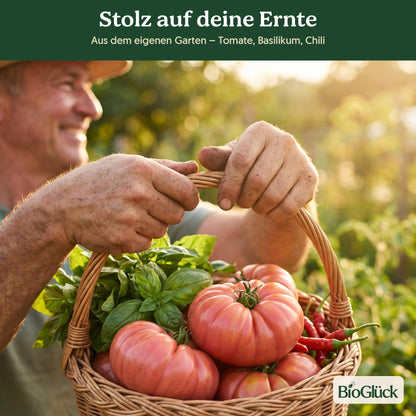 Stolz auf deine Ernte: Korb mit Tomaten und Chili aus dem Mediterran Set