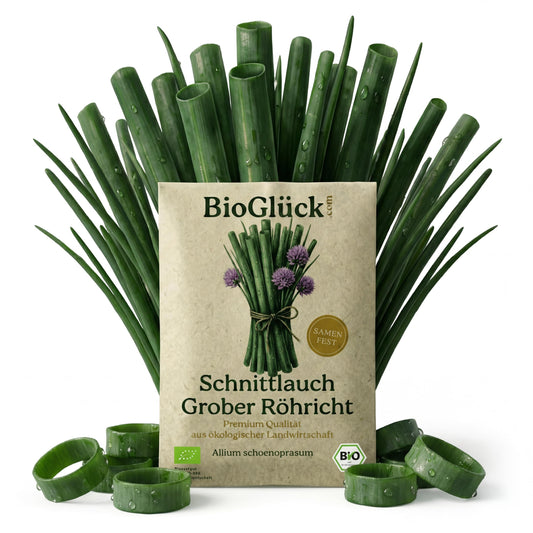 BioGlück Bio-Schnittlauch Grober Röhricht: Samentüte aus Graspapier vor dicken Schnittlauchhalmen