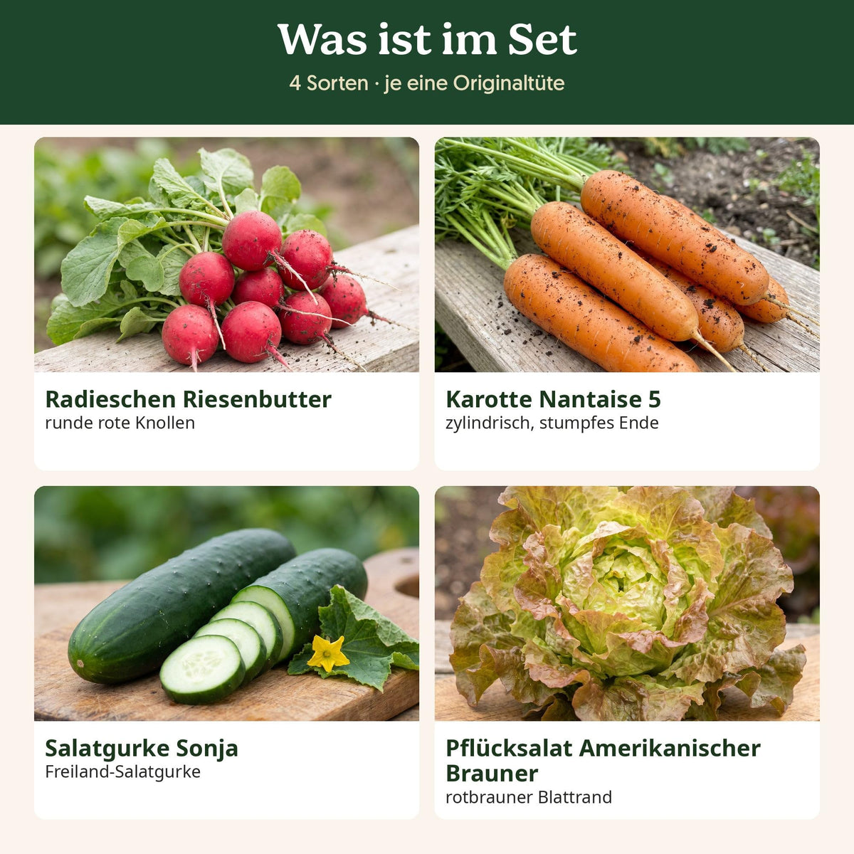 Was ist im Küchengarten Set: alle Sorten mit Kurzbeschreibung