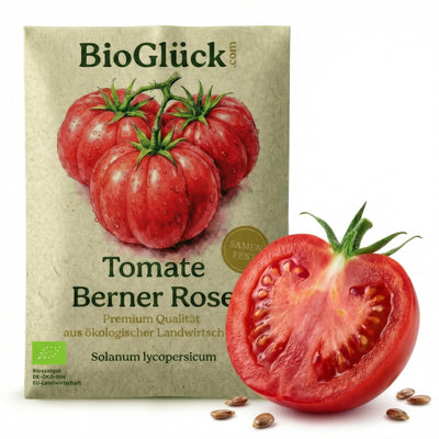 BioGlück Bio-Tomate Berner Rose: Samentüte aus Graspapier mit aufgeschnittener Fleischtomate