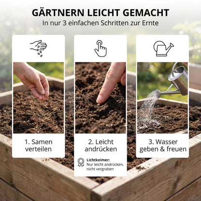 Gärtnern leicht gemacht: Samen verteilen, leicht andrücken, gießen
