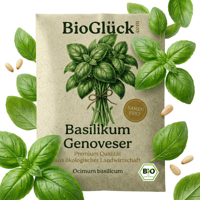 BioGlück Bio-Basilikum Genoveser: Samentüte aus Graspapier mit Basilikumblättern
