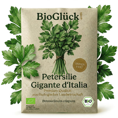 BioGlück Bio-Petersilie Gigante d'Italia: Samentüte aus Graspapier mit glatter Petersilie