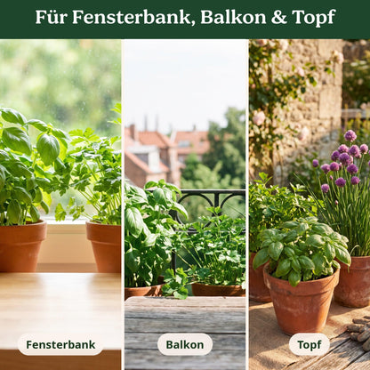 Kräutergarten Set: passende Standorte für die Sorten