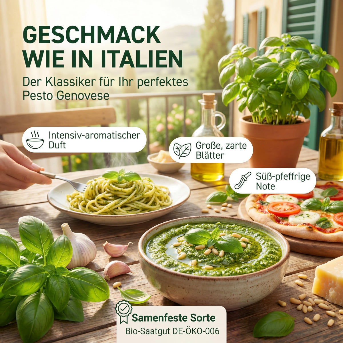 Geschmack wie in Italien: Basilikum für Pesto Genovese