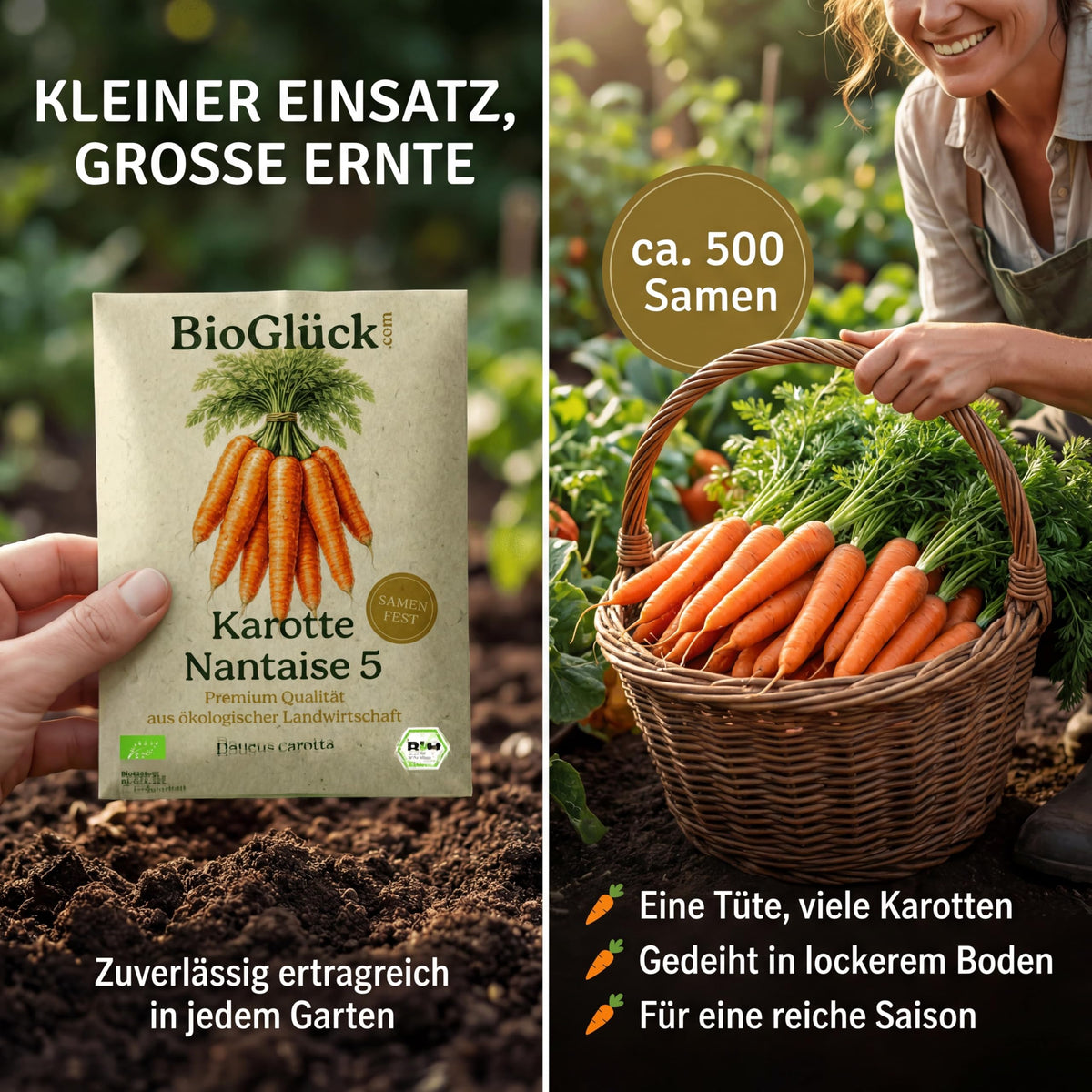 Kleiner Einsatz, große Ernte: ca. 500 Samen pro Tüte
