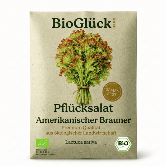 Bio Pflücksalat Samen Amerikanischer Brauner samenfest in nachhaltiger Graspapier-Verpackung