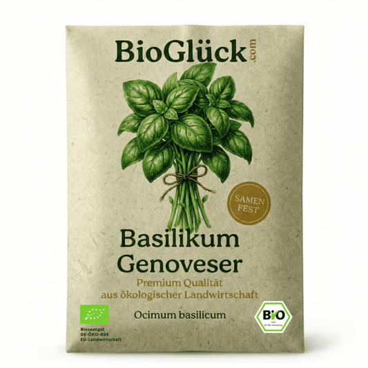 Bio Basilikum Samen Genoveser samenfest in nachhaltiger Graspapier-Verpackung