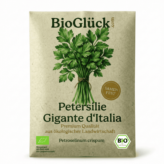 Bio Petersilie Samen Gigante d’Italia zusammen mit glatter Petersilie im Garten
