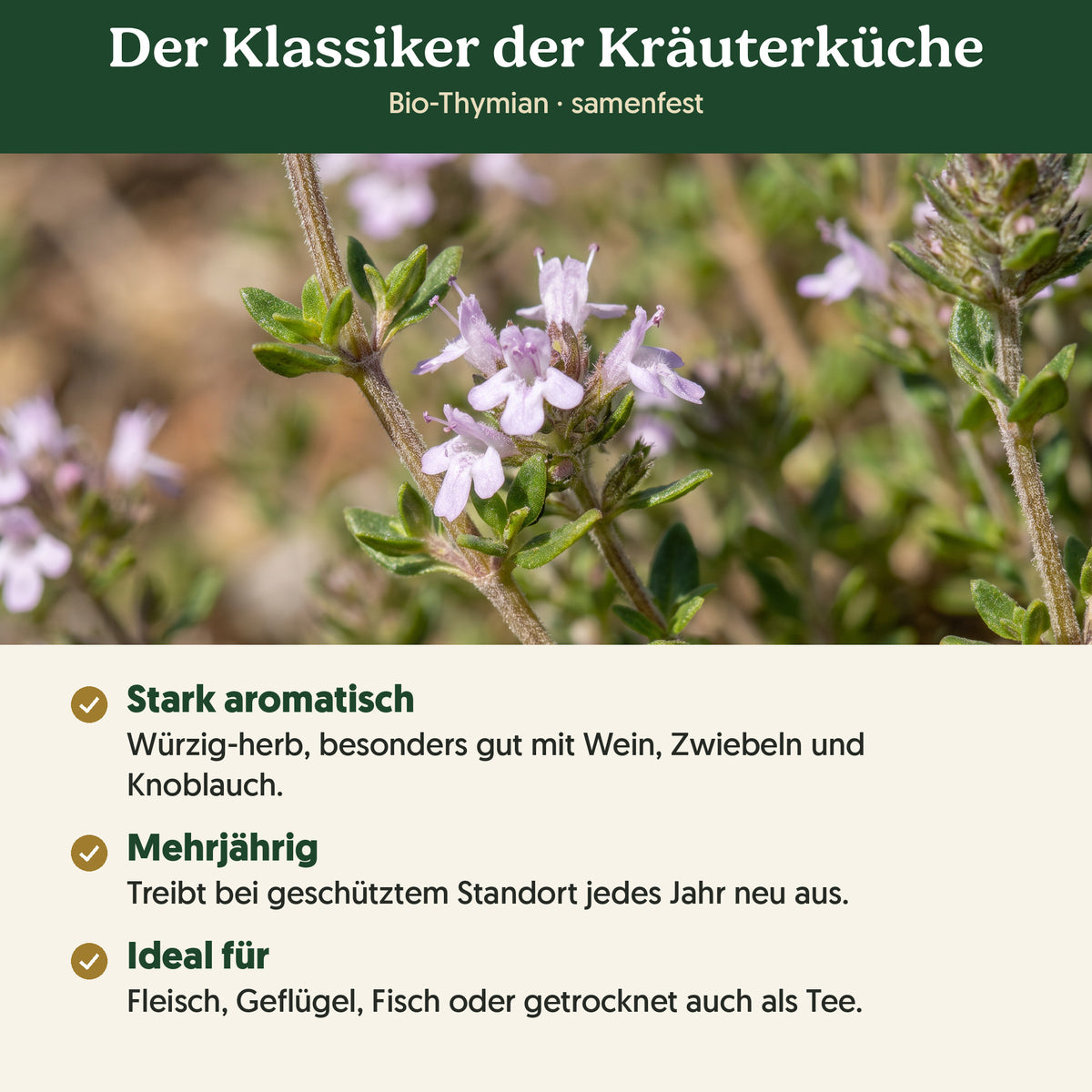 Der Klassiker der Kräuterküche: Merkmale von Bio-Thymian