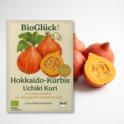BioGlück Bio-Hokkaido-Kürbis 'Uchiki Kuri': Samentüte aus Graspapier mit Hokkaido-Kürbis Uchiki Kuri