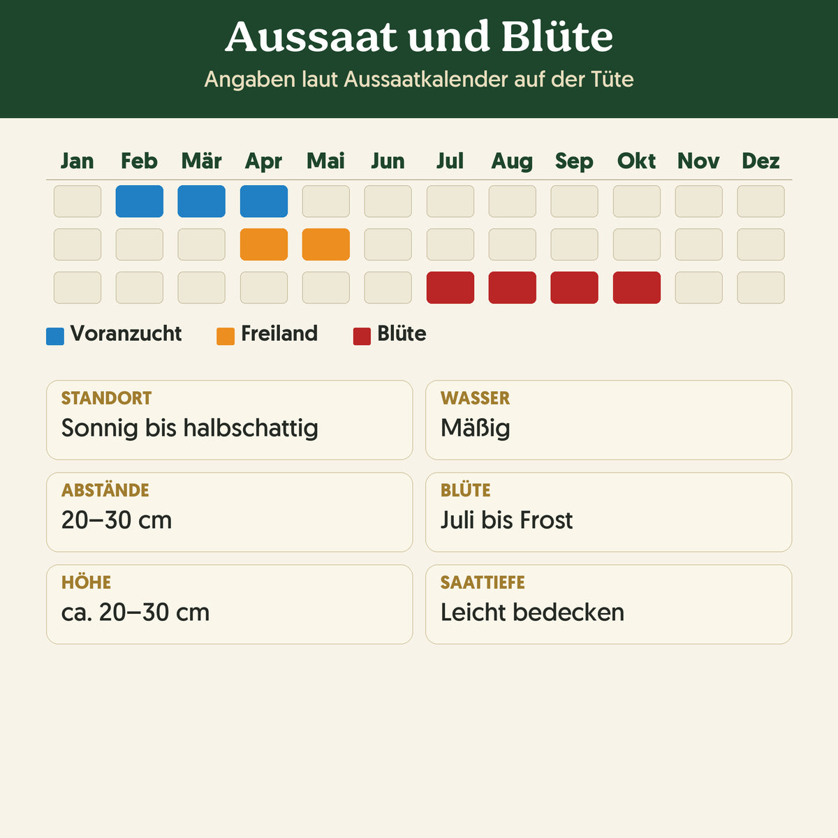 Aussaatkalender Bio-Studentenblume 'Niedrige Mischung': Voranzucht, Freiland und Blüte sowie Anbauangaben
