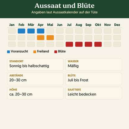 Aussaatkalender Bio-Studentenblume 'Niedrige Mischung': Voranzucht, Freiland und Blüte sowie Anbauangaben