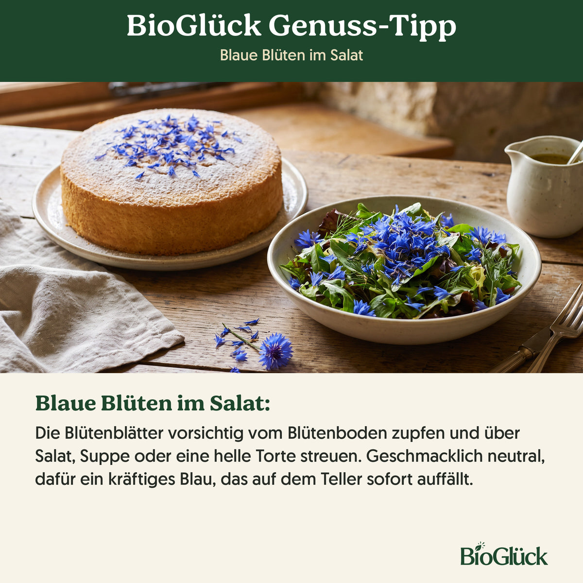 BioGlück Genuss-Tipp: Blaue Blüten im Salat