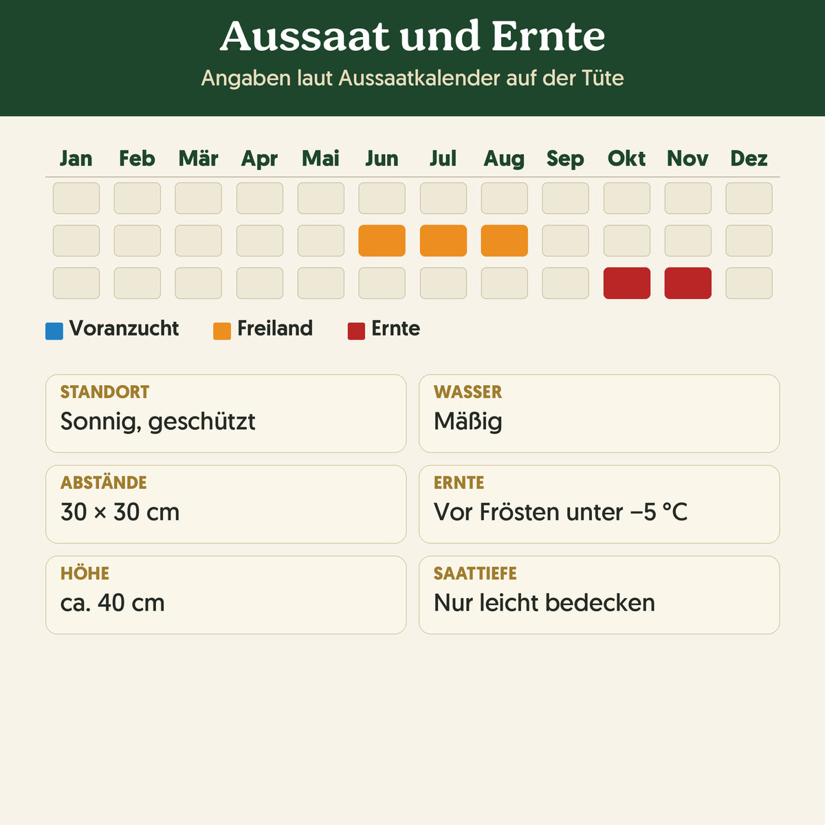 Aussaatkalender Bio-Zichoriensalat 'Zuckerhut': Voranzucht, Freiland und Ernte sowie Anbauangaben