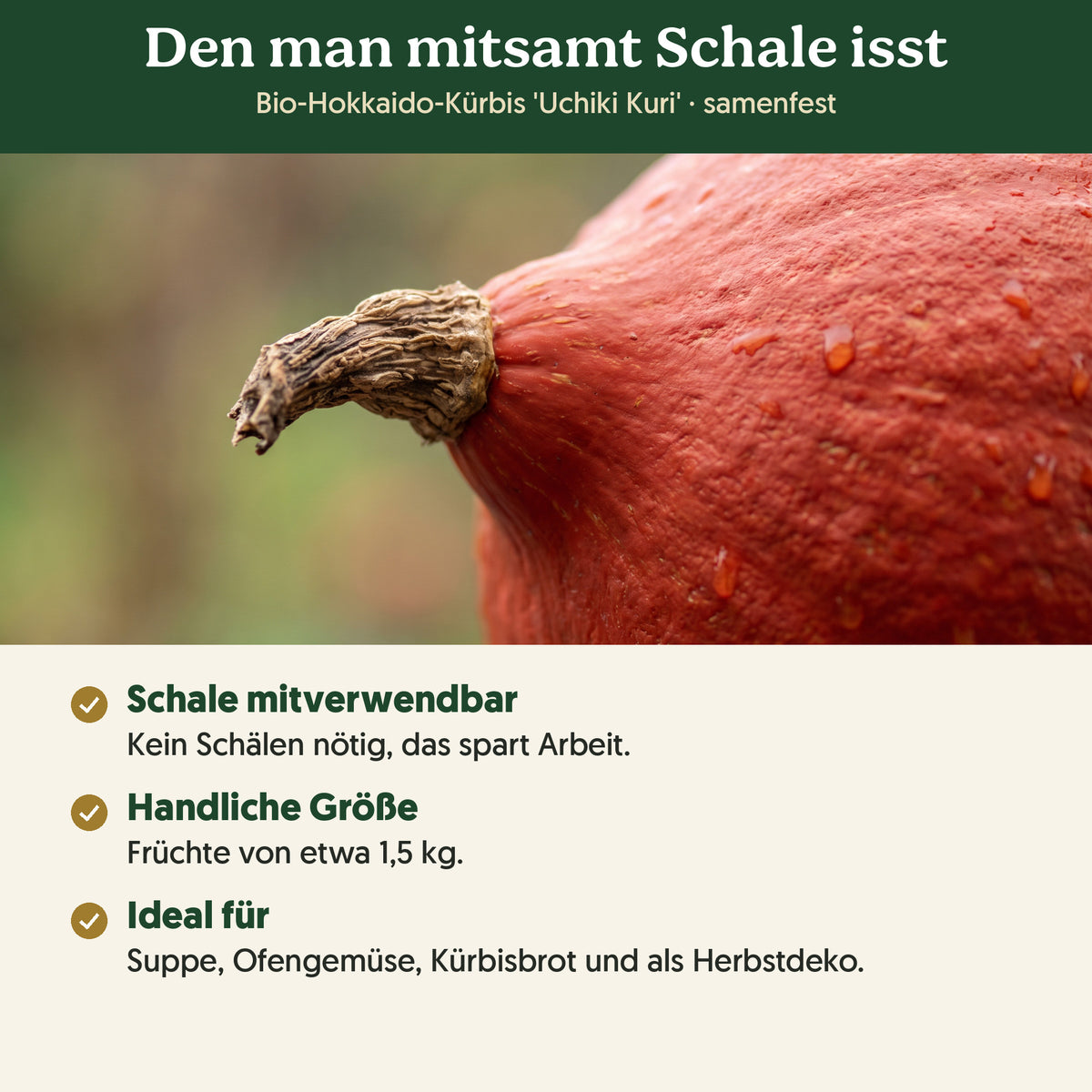 Den man mitsamt Schale isst: Merkmale von Bio-Hokkaido-Kürbis 'Uchiki Kuri'
