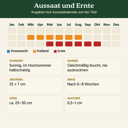 Aussaatkalender Bio-Rettich 'Ostergruß rosa': Voranzucht, Freiland und Ernte sowie Anbauangaben