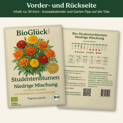 Vorder- und Rückseite der Samentüte Bio-Studentenblume 'Niedrige Mischung', ca. 50 Korn