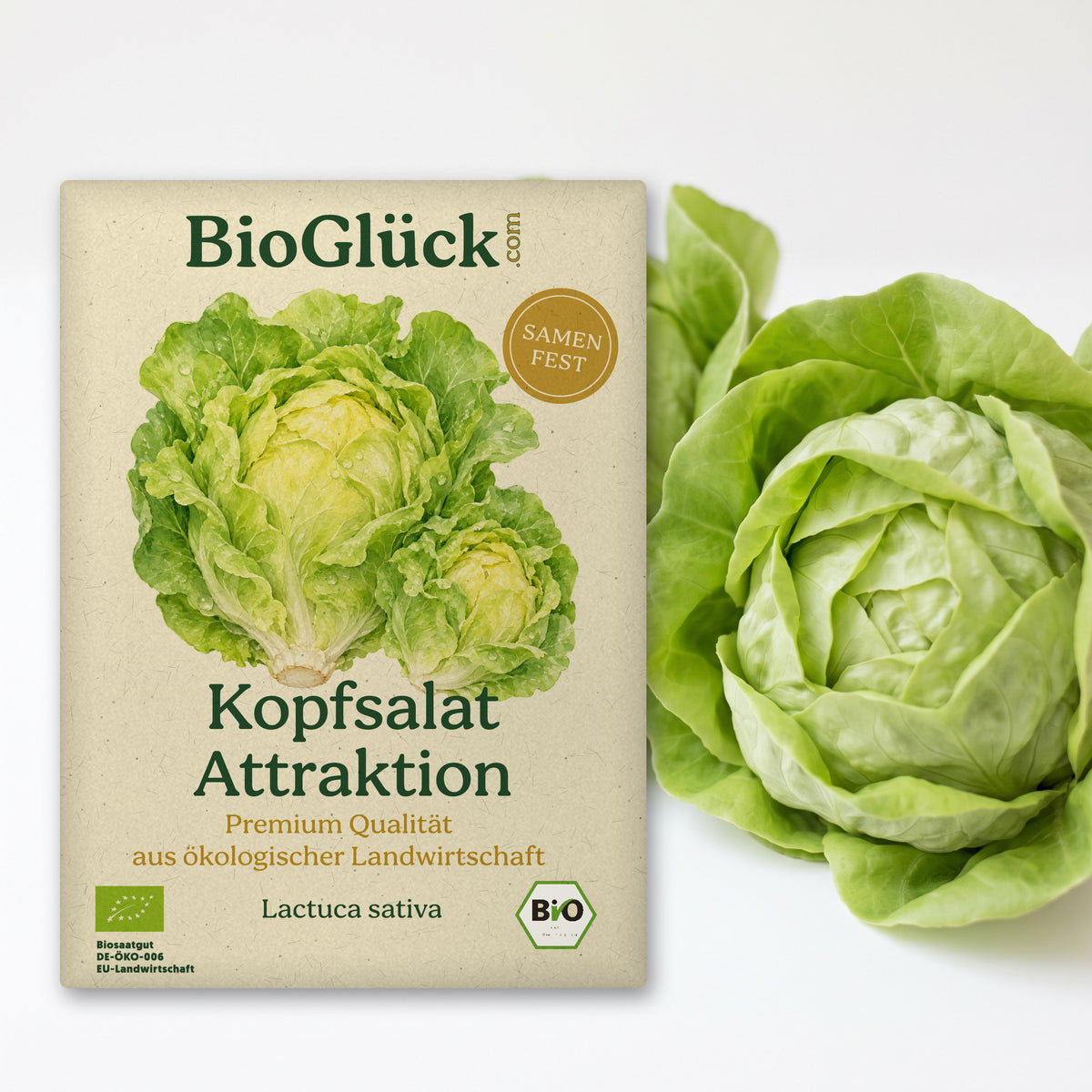 BioGlück Bio-Kopfsalat 'Attraktion': Samentüte aus Graspapier mit Kopfsalat Attraktion