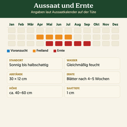 Aussaatkalender Bio-Koriander: Voranzucht, Freiland und Ernte sowie Anbauangaben