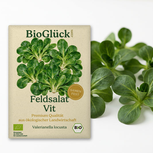 BioGlück Bio-Feldsalat 'Vit': Samentüte aus Graspapier mit Feldsalat Vit