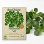 BioGlück Bio-Feldsalat 'Vit': Samentüte aus Graspapier mit Feldsalat Vit