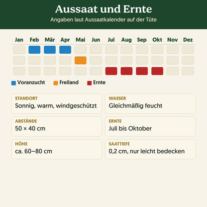 Aussaatkalender Bio-Paprika 'California Wonder': Voranzucht, Freiland und Ernte sowie Anbauangaben
