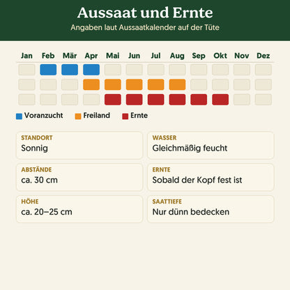 Aussaatkalender Bio-Kopfsalat 'Attraktion': Voranzucht, Freiland und Ernte sowie Anbauangaben