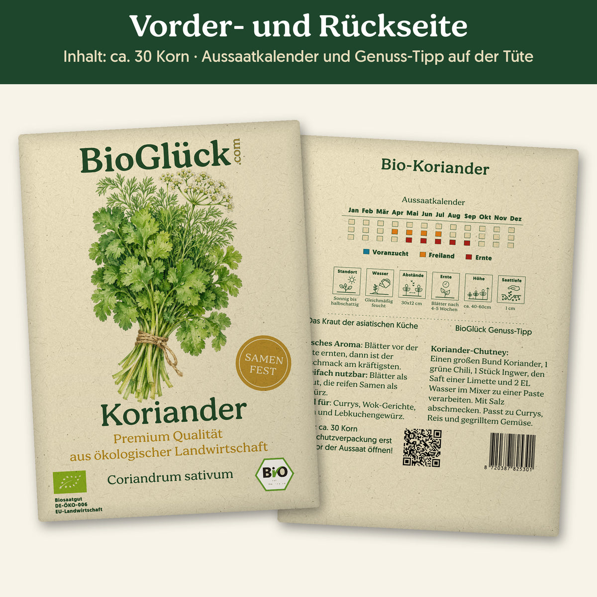 Vorder- und Rückseite der Samentüte Bio-Koriander, ca. 30 Korn