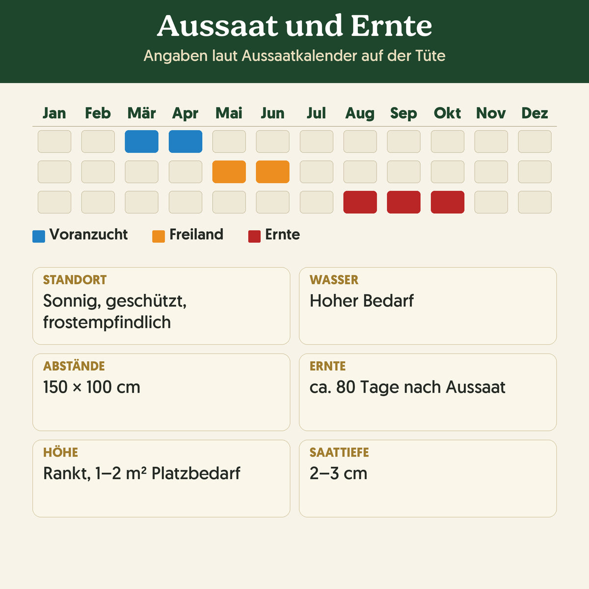 Aussaatkalender Bio-Laternenkürbis 'Sankt Martin': Voranzucht, Freiland und Ernte sowie Anbauangaben