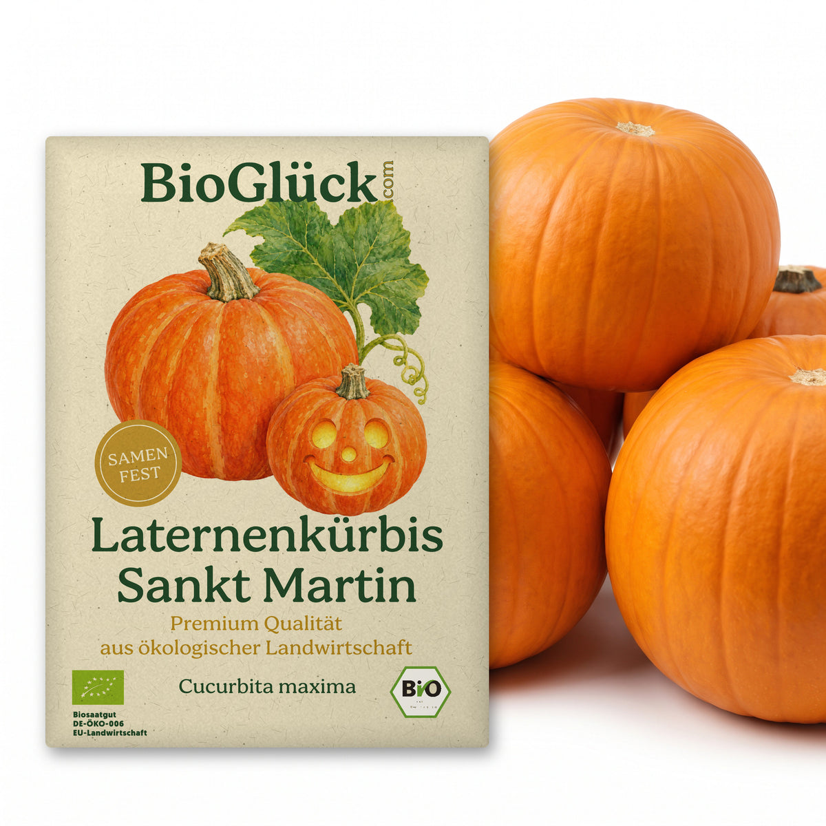 BioGlück Bio-Laternenkürbis 'Sankt Martin': Samentüte aus Graspapier mit Laternenkürbis Sankt Martin