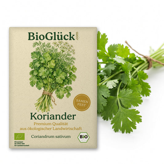 BioGlück Bio-Koriander: Samentüte aus Graspapier mit Koriander