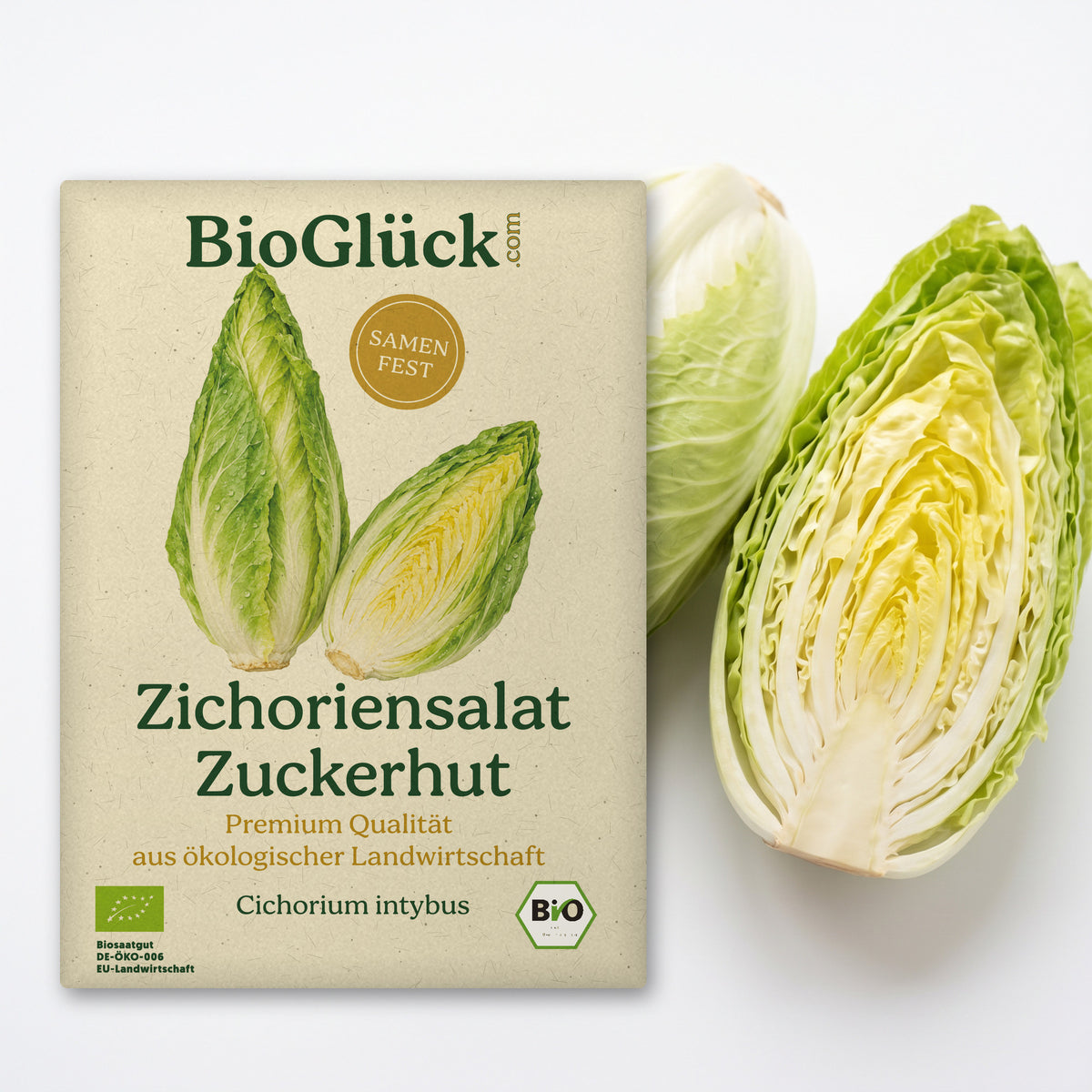 BioGlück Bio-Zichoriensalat 'Zuckerhut': Samentüte aus Graspapier mit Zichoriensalat Zuckerhut