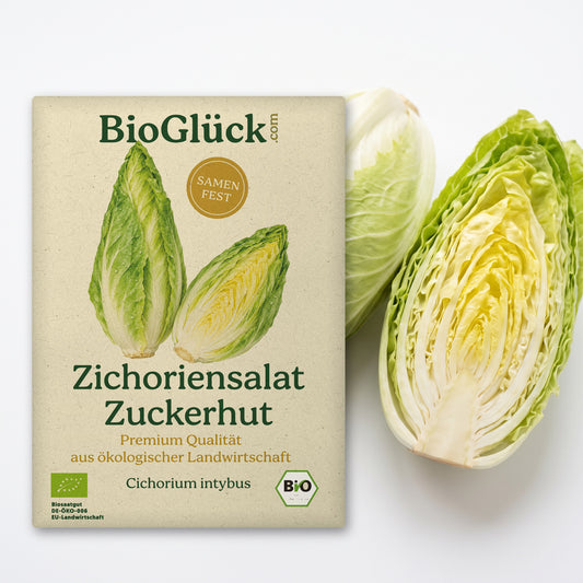 BioGlück Bio-Zichoriensalat 'Zuckerhut': Samentüte aus Graspapier mit Zichoriensalat Zuckerhut