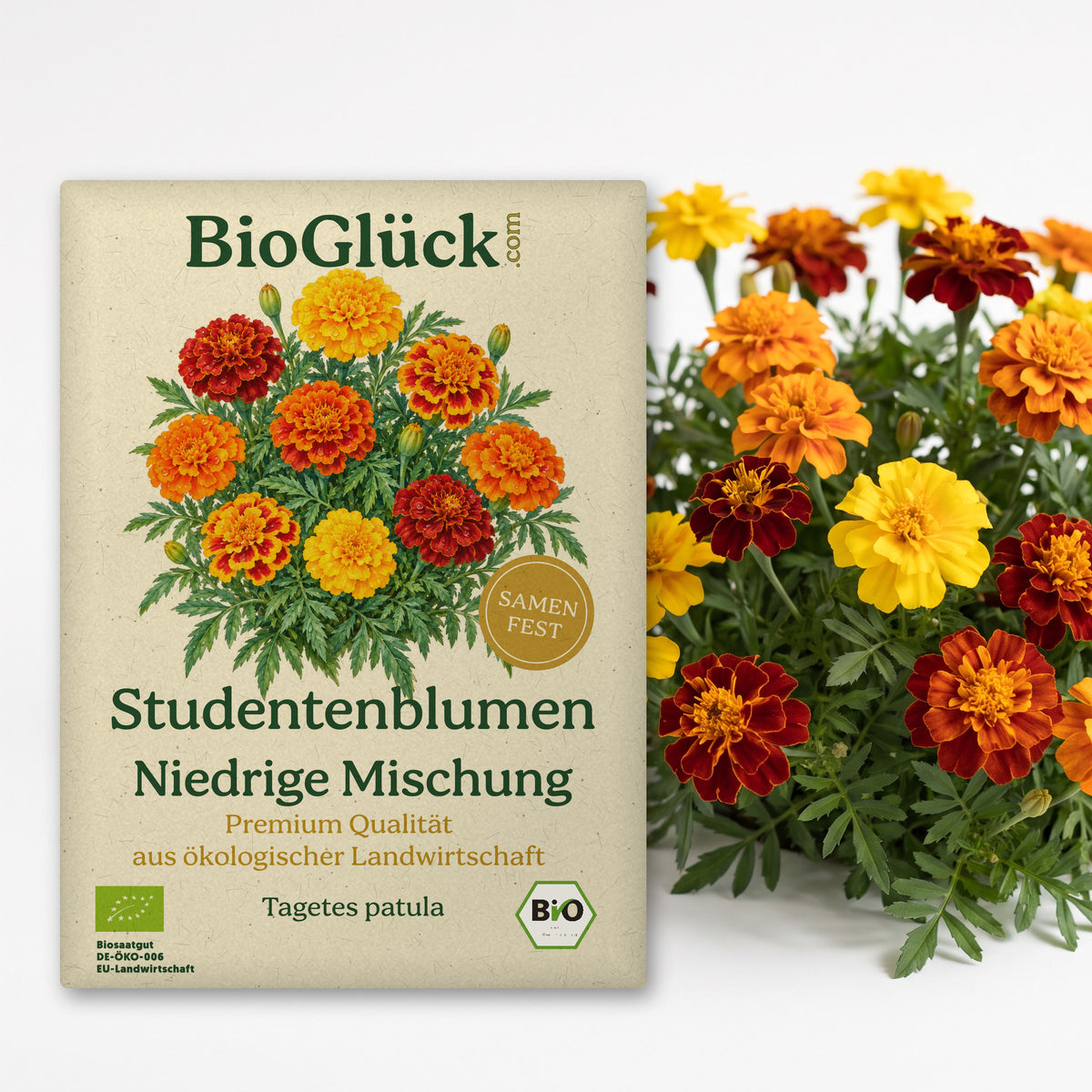 BioGlück Bio-Studentenblume 'Niedrige Mischung': Samentüte aus Graspapier mit Studentenblume Niedrige Mischung