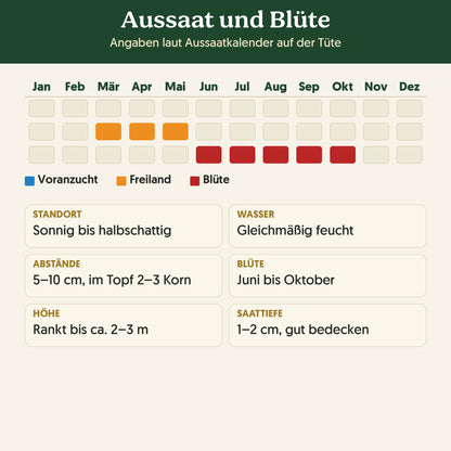 Aussaatkalender Bio-Kapuzinerkresse 'Rankende Mischung': Voranzucht, Freiland und Blüte sowie Anbauangaben